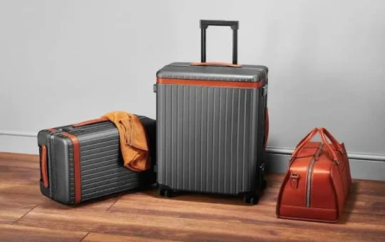 Checked Luggage