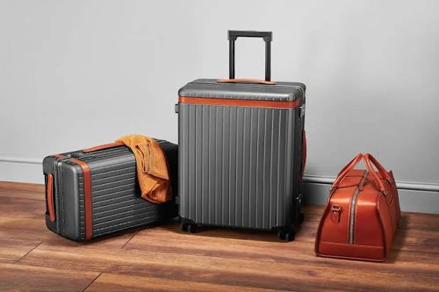 Checked Luggage